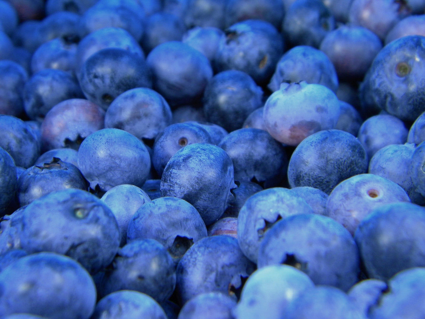 ANN WEBB Skin Care for Face Blueberry Gylcolic Peel is a Stronger peel with fruit and physical exfoliators Made in America