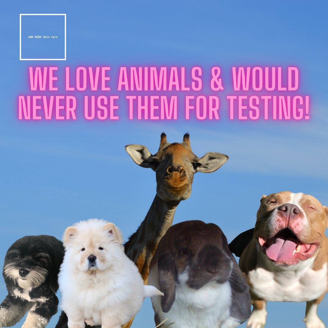 ANN WEBB Day Skin Products Moisture Cream Help blemishes, excess redness, & for its luminescent properties.  Made in USA